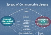 Communicable Diseases: Present and Future Challenges