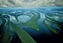 Embark on an Epic Journey: Discover the Top 5 Longest Rivers & Their Untold Stories