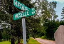 Inside the Astounding Auction of Murdaugh Estate: Furniture, Antlers, and Intrigue