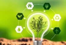 Latest Updates on Renewable Energy, Sustainable Agriculture, Green Technology, and Conservation Efforts