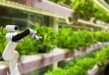 Sustainable Agriculture: Innovations in Farming for a Greener Future