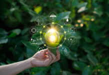 The Business Case for Sustainability: Why Companies Are Investing in Green Innovation