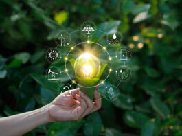 The Business Case for Sustainability: Why Companies Are Investing in Green Innovation