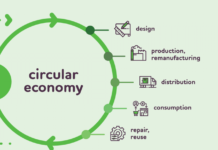 The Circular Economy: Designing Products and Systems for a Sustainable Future