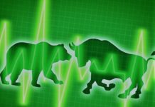 The Ecological Pyramid Principle in the Stock Market: Understanding Strong Players vs Weak Players and Strategies for Success