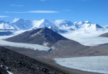 The Paradox of Life in Antarctica: How Organisms Survive in Extreme Conditions on the Coldest Continent
