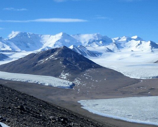 The Paradox of Life in Antarctica: How Organisms Survive in Extreme Conditions on the Coldest Continent