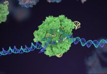 The Power of CRISPR: How Gene Editing is Revolutionizing Biotechnology
