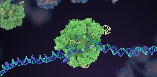 The Power of CRISPR: How Gene Editing is Revolutionizing Biotechnology