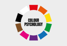 The Power of Color: How Color Psychology Influences Design