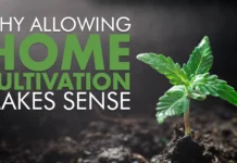 The Rise of Plant-Based Diets: What You Need to Know About Going Vegan