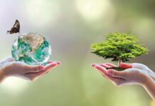 The Role of Innovation in Driving Environmental Change and Creating a More Sustainable Future