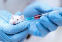 Decoding the Intricacies: Unveiling the Complex Interplay between Opioids and the Immune System in Provoking Withdrawal Symptoms