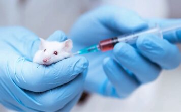 Decoding the Intricacies: Unveiling the Complex Interplay between Opioids and the Immune System in Provoking Withdrawal Symptoms