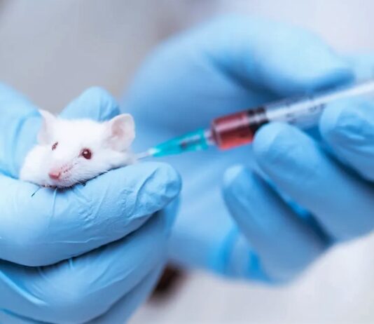 Decoding the Intricacies: Unveiling the Complex Interplay between Opioids and the Immune System in Provoking Withdrawal Symptoms