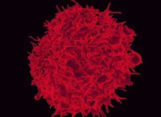 Dissecting Tumor-Specific Antigens: The Intricate Link between Transposable Elements and Cancer Immunotherapy