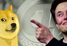 Dogecoin Price Skyrockets as Elon Musk Tweets Picture of Dog on Twitter