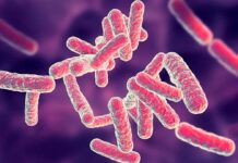 Gut Microbiomes Implicated in Chronic Fatigue Syndrome: Unveiling the Mystery Behind CFS Exhaustion