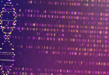 Investigating Random Allelic Expression (RAE): Over 2,700 Genes Found to Exhibit Unpredictable Allelic Expression Patterns