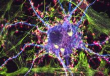 Psychedelic Therapeutics: A Breakthrough in Depression Treatment or Another False Hope?