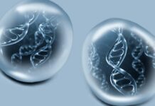 Revolutionizing Genetic Analysis: Scientists Achieve Long-Read Single-Cell Sequencing with Innovative DNA Amplification Techniques