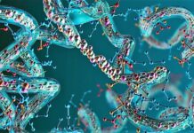 Revolutionizing Protein Engineering: AI Crafts Bespoke Enzymes