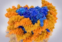 The Elusive Nature of Cryptic Transcription in Aging Cells