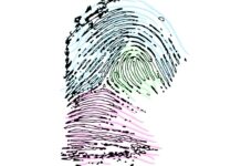 The Genetic Basis of Fingerprints: Scientists Uncover the Fascinating Role of Turing Patterns in Biology