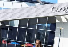 The Impact of Economic Headwinds on Sustainability: Insights from Global Executives