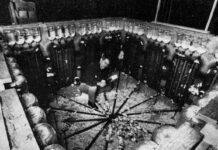 Universe 25: Disentangling the Mouse Conundrum Unveiling Personal Space’s Significance