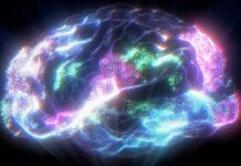 Unraveling Linguistic Enigmas: The Brain’s Remarkable Language Processing Abilities Across a Multitude of Tongues