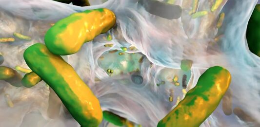 Unraveling the Espionage: Bacteria Turncoats Wage War Against Pathogenic Biofilms in Mice