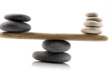 Unraveling the Impact of Eight-Week Meditation on Brain Structure: A Comprehensive Analysis